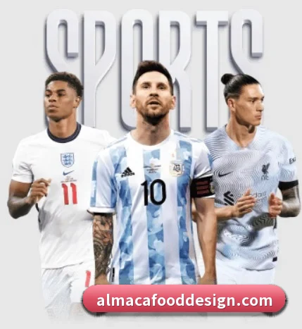 mksports网站的方向