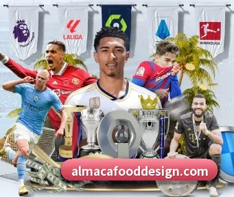 mksports网站 APP